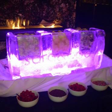 Ice Sculptures